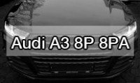 Audi A3 8P 8PA