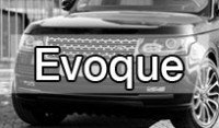 Evoque