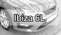 Ibiza 6L