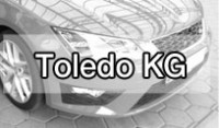 Toledo KG