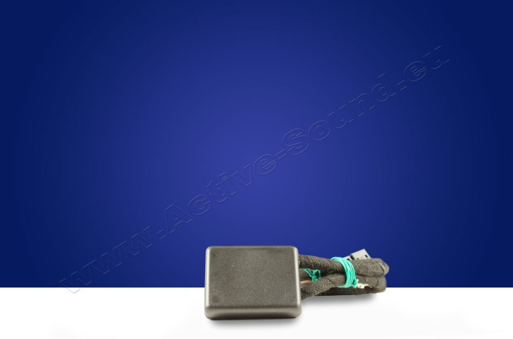 VAG E-Autos Intelligent Memory Modul